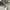 Polo Ralph Lauren Casual Polo shirt Pria white photo 7