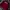 Carhartt Streetwear Y2K Sweatshirt Pria burgundy red photo 1