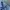 T Buc Streetwear Denim jacket Pria blue photo 5