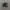 vans era full black photo 3