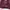 Pakaian adat Kebaya Wanita burgundy photo 1