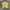 Y2K T-shirt Pria Yellow
