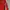 HODIE GROVEHERYHME TWO TONE COLOR photo 7