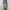 Cargo Swets Pants