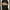 X - Large photo 1
