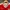 Jersey Arsenal original  photo 2
