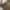 Y2k Abahouse Devinette Halter Neck Top Gold Skin Made In Jap photo 3