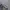 A Bathing Ape Streetwear Casual Sweatshirt Pria white gray photo 8