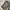 VINTAGE DOUBLE RL CAMO PANTA photo 8