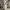 Baggy Sweatpants Blank Grey photo 6