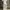 Baggy Sweatpants Blank Grey photo 7