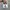 Salomon Sportswear Sneakers Pria white photo 4