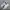 Salomon Sportswear Sneakers Pria White