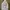 Hoodie jumper longsleeve stussy white size medium used good  photo 9