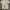 T-shirt tee merch official potato head bali white size mediu photo 2