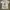 T-shirt tee merch official potato head bali white size mediu photo 3