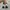 New Balance Sportswear Sneakers Wanita white gray photo 4