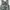 RARE PLEATS PLEASE ISSEY MIYAKE LEATS PLEATS ONE PIECE photo 6