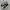 New Balance Streetwear Sneakers Pria Black