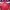 Converse Vintage Streetwear Parka Pria Red