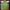 Fjällräven Streetwear Luxury Parka Pria Green