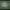 Fjällräven Streetwear Luxury Parka Pria green photo 5