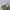 Vax Sports Indie Casual Casual pants Pria green photo 5