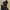 Church lace up boots photo 4