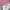 Rockfish Weatherwear - Bryn Velcro Sneakers photo 5