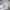 Rockfish Weatherwear - Bryn Velcro Sneakers photo 6