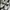 Rockfish Weatherwear - Bryn Velcro Sneakers photo 1