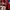 JERSEY AC MILA VINTAGE BIERHOFF  photo 8