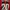 JERSEY AC MILA VINTAGE BIERHOFF  photo 7