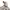EARTH Japan for her, Beige Down Long Puffer Hooded photo 4
