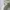 [BUY 1 GET 2] plush love heart keychain doyoung nct 127 trea photo 7