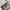 [BUY 1 GET 1] keychain doyoung nct keyring photo 6