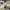 Nike Sportswear Sneakers Pria white photo 8