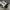 Nike Sportswear Sneakers Pria White