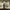 Nike Sportswear Sneakers Pria white photo 4
