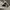 Nike Sportswear Sneakers Pria white photo 5