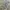 Cargo Baggy Pants Army Combat Uniform USA photo 2