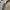 Cargo Baggy Pants Army Combat Uniform USA photo 8