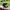 converse chuck taylor 70 photo 2