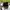 converse chuck taylor 70 photo 3