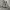 NIKE VOMERO5  photo 3