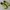 Streetwear Sandals & Slide Wanita Green