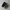 New Balance Streetwear Casual Sneakers Kids black gray photo 5