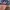 Vintage Snapback American Legion Veteran photo 3