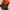 Bacpack photo 2
