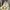 Nude Heels Stilleto Cantik photo 1